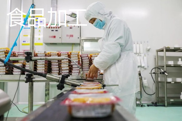 致富赚钱的方法，种植蔬菜水果、选择食品加工等项目均可获利