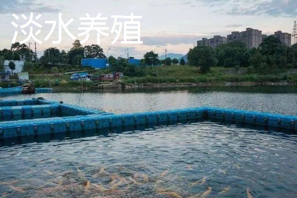 致富赚钱的方法，种植蔬菜水果、选择食品加工等项目均可获利