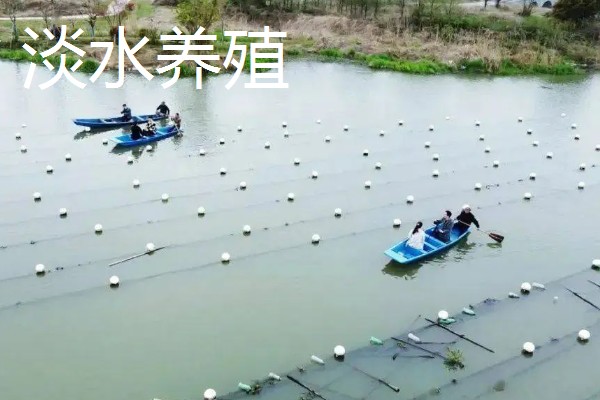 致富赚钱的方法，种植蔬菜水果、选择食品加工等项目均可获利