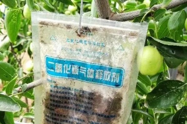 什么是气肥，是一种生物制品
