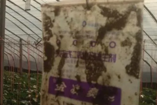 什么是气肥，是一种生物制品