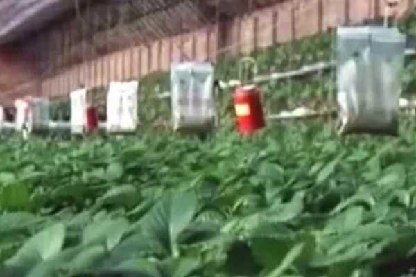 什么是气肥，是一种生物制品