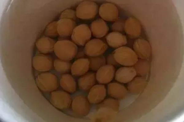 桃树种子如何快速发芽，秋季播种时要每隔3-5天浇一次水