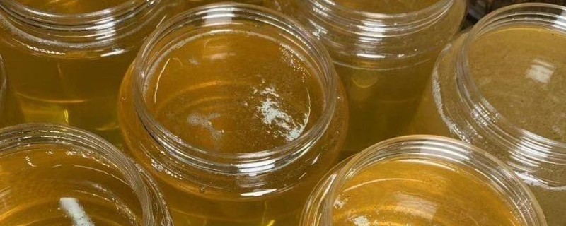 椴树蜜和槐花蜜哪个更好，后者价格更贵