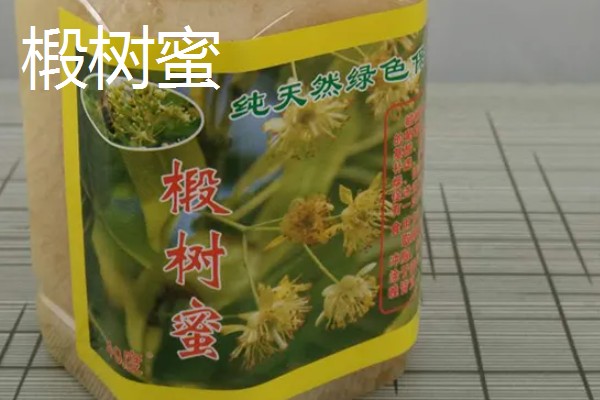 椴树蜜和槐花蜜哪个更好，后者价格更贵