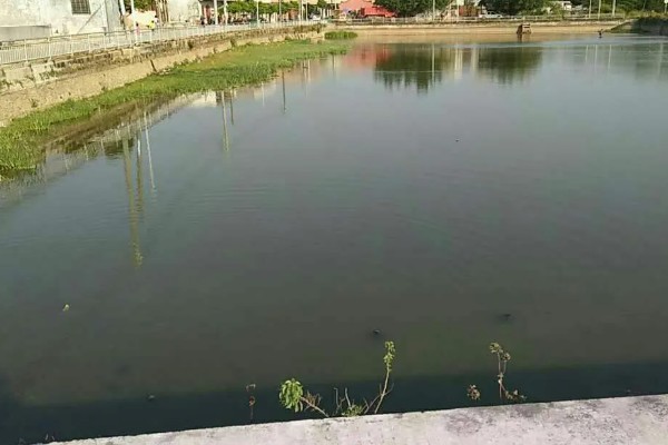对虾弧菌感染如何处理，可加大换水量对水体消毒