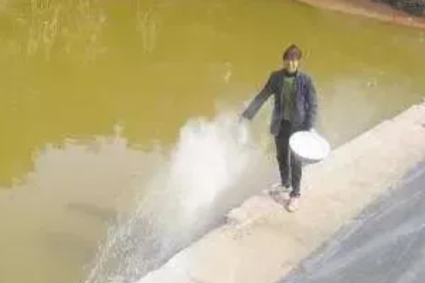 对虾弧菌感染如何处理，可加大换水量对水体消毒