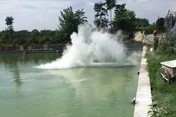 对虾弧菌感染如何处理，可加大换水量对水体消毒