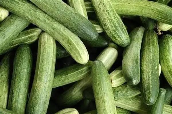 夏熟作物是什么，就是夏天成熟的作物