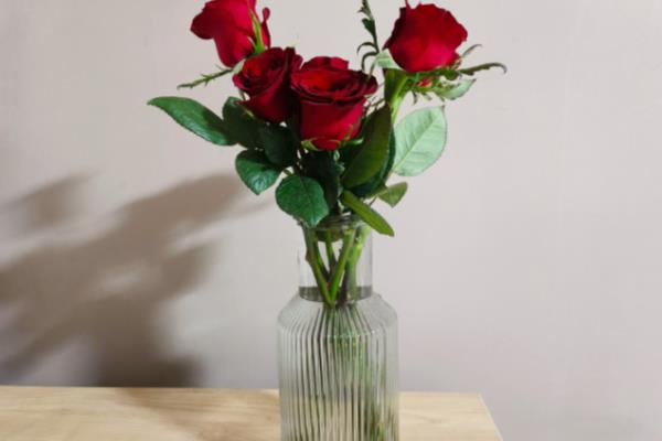 玫瑰花的花语是什么，寓意纯洁的爱、热恋等