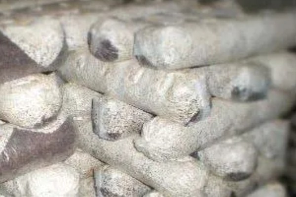 菌袋打孔有哪些注意事项，打孔应在栽培后3-5天进行