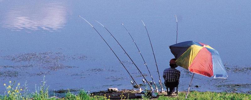 风大能不能钓鱼，风小的时候比较适合钓鱼