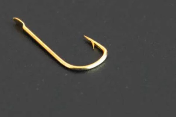 风大能不能钓鱼,风小的时候比较适合钓鱼