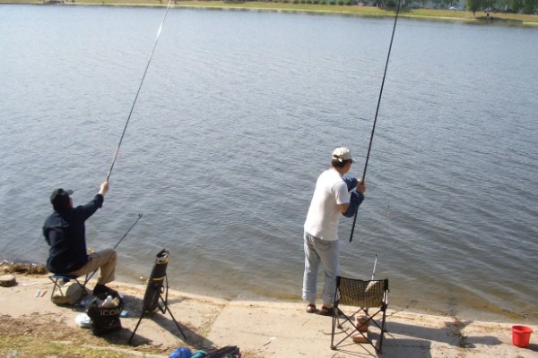 风大能不能钓鱼,风小的时候比较适合钓鱼