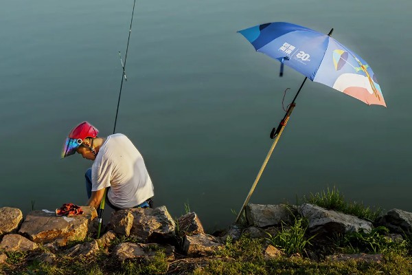 风大能不能钓鱼,风小的时候比较适合钓鱼