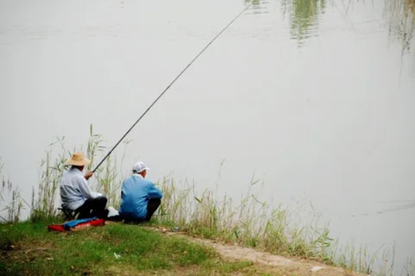 风大能不能钓鱼,风小的时候比较适合钓鱼