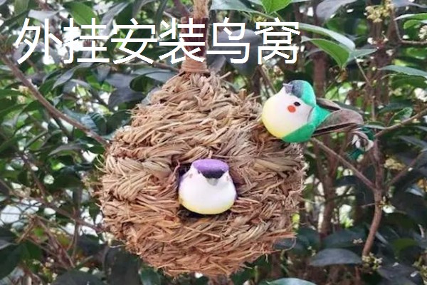 怎么在笼中放置鹦鹉的窝，主要有外挂和内挂这里两种方式