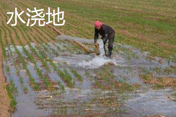 耕地有什么类型,分为菜地、旱地、水浇地等种类 - 农笔记