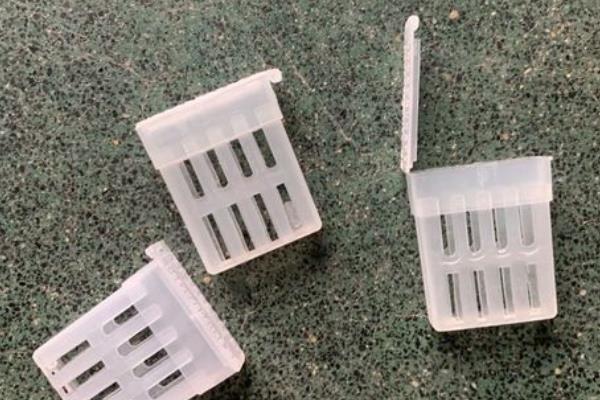 买来的处女蜂怎样介入无王群，最安全的办法是用囚王笼介王