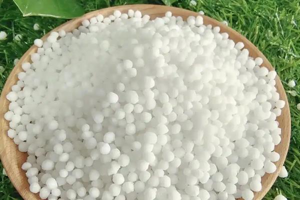 朱顶红的开花时间，花期多为5-6月份