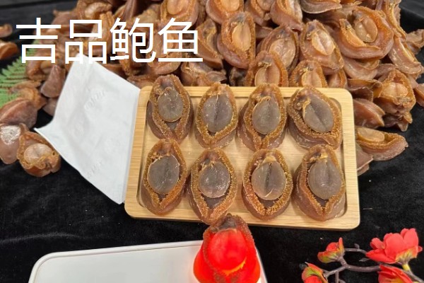 鲍鱼的生长环境，生活在海藻繁茂的岩礁地带