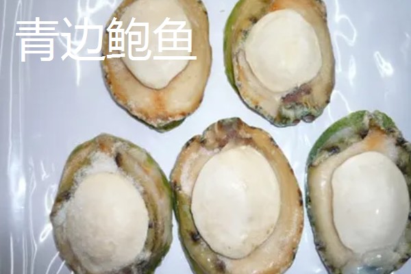 鲍鱼的生长环境，生活在海藻繁茂的岩礁地带