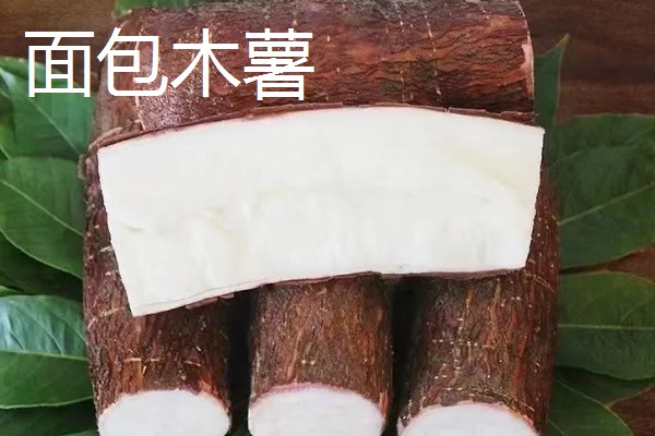 木薯有哪些优良品种，常见的有桂热7号、新选048等