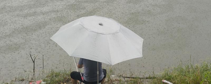 下雨天可以钓鱼吗，下雨天能钓到鱼