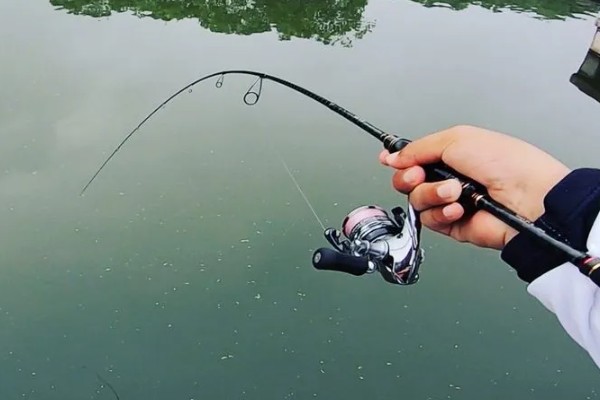 夏季阴天适合钓鲫鱼吗，阴天有风的话适合钓鱼
