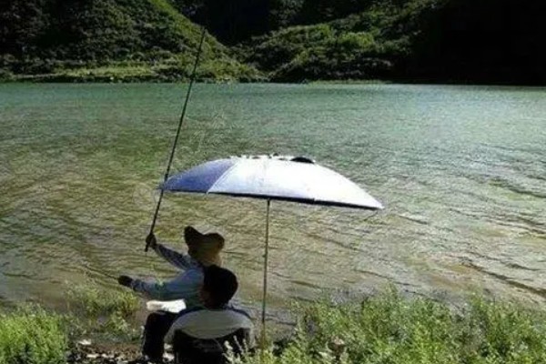 夏季阴天适合钓鲫鱼吗，阴天有风的话适合钓鱼