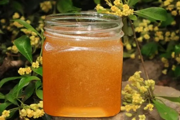 野桂花蜂蜜的价格，价格在60-200元一斤不等