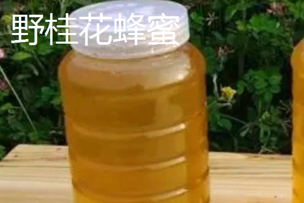 野桂花蜂蜜的价格，价格在60-200元一斤不等