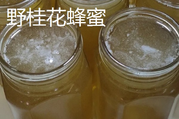 野桂花蜂蜜的价格，价格在60-200元一斤不等