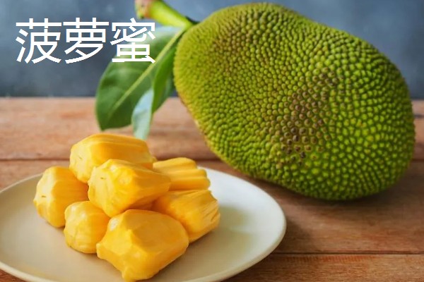 四季菠萝蜜四季都能结果吗，管理得当是可以四季开花结果