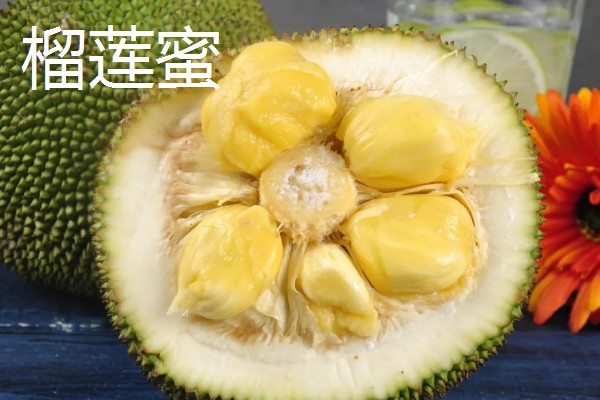 四季菠萝蜜四季都能结果吗，管理得当是可以四季开花结果