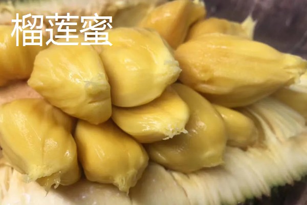 四季菠萝蜜四季都能结果吗，管理得当是可以四季开花结果