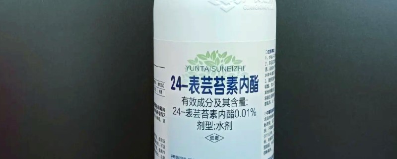 芸苔素内酯的作用，可增甜、着色、促花保果等
