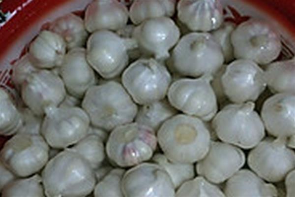 大蒜种子要浸泡后种植吗,种植前需要浸泡