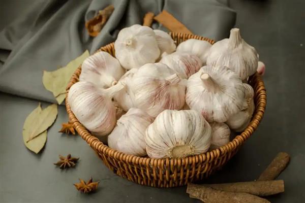 大蒜种子要浸泡后种植吗,种植前需要浸泡