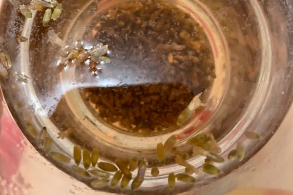 薰衣草适合哪种土壤，喜欢疏松透气的土壤