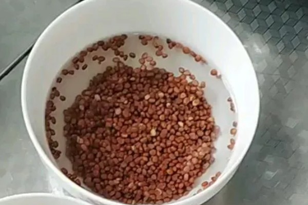 炭疽病的危害症状，初现水浸状黄褐色圆斑
