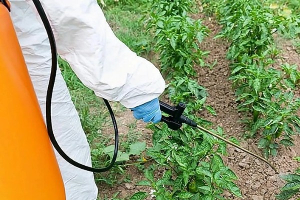 生物农药如何使用,在早晚时间使用为好