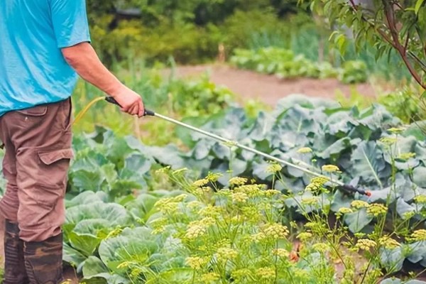 生物农药如何使用,在早晚时间使用为好