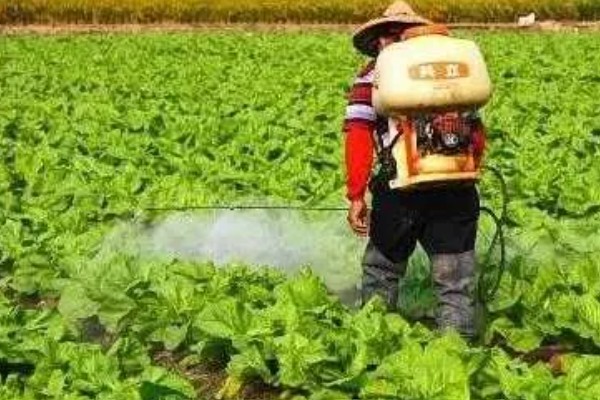 生物农药如何使用,在早晚时间使用为好