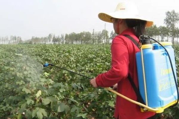 生物农药如何使用,在早晚时间使用为好