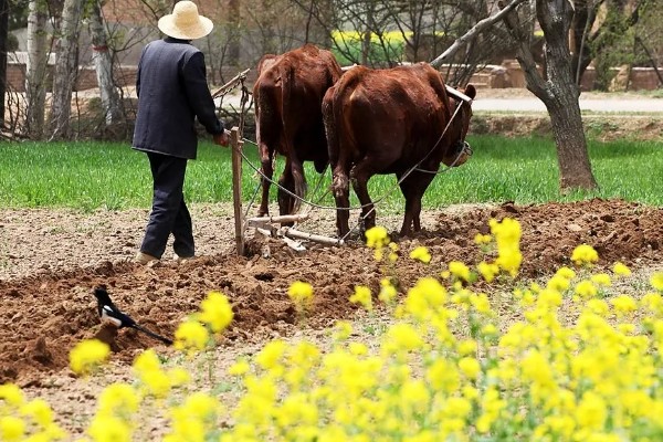 春耕的时间，主要集中在2-5月之间