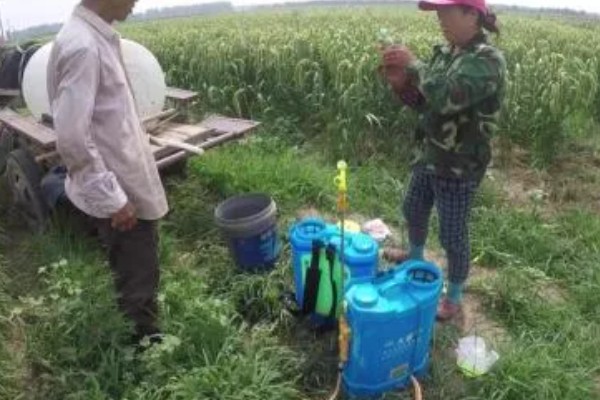 谷子地可以使用什么除草剂，扑乙悬浮剂可防治牛筋草、马齿苋等各种杂草