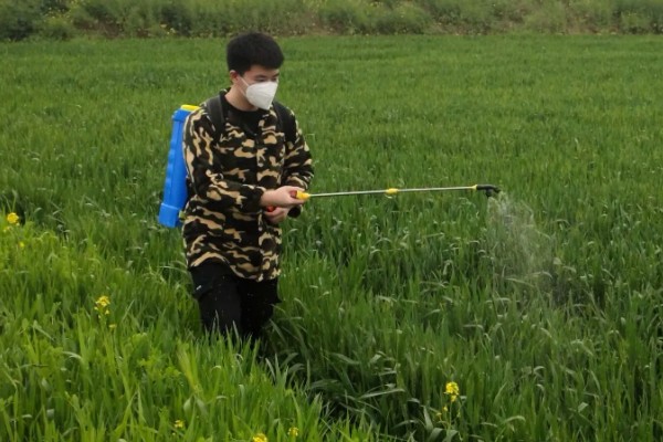 谷子地可以使用什么除草剂，扑乙悬浮剂可防治牛筋草、马齿苋等各种杂草