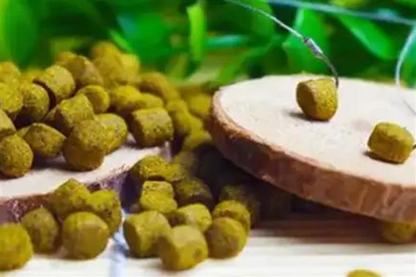 红虫粉的适钓鱼种,鲫鱼、鲤鱼、鲴鱼等品种皆可垂钓