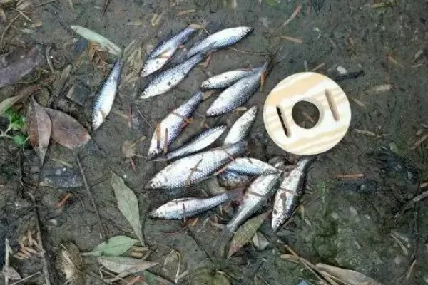 黑漂打不到鱼的原因，可能是调漂过灵、鱼钩问题等